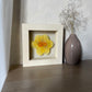 In the flower of tenderness