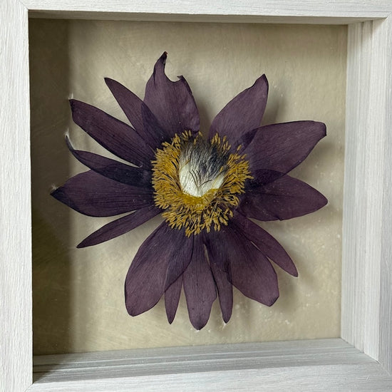 In the flower of tenderness