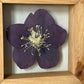 In the flower of tenderness