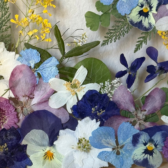 Tricolor symphony of flowers