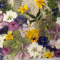 Like tales from the end of summer