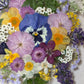 Spring party