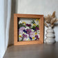 Tricolor symphony of flowers