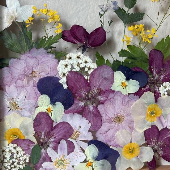 Tricolor symphony of flowers
