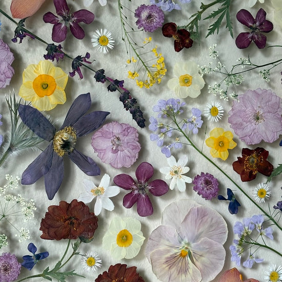 Magical flowers