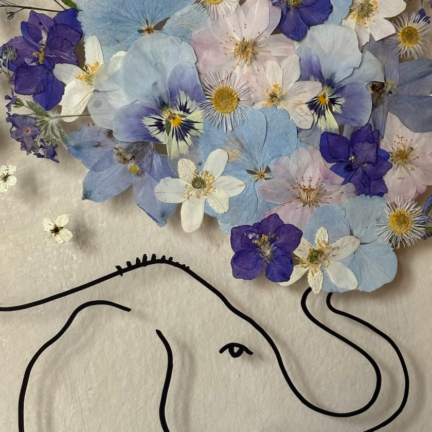 Little Elephant