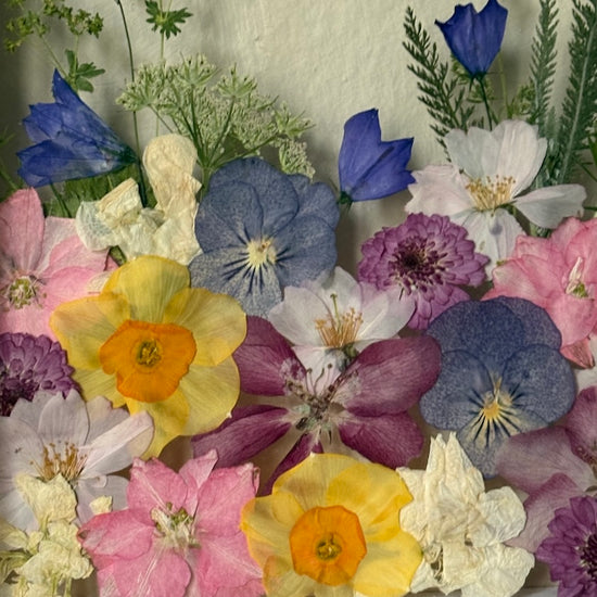 Tricolor symphony of flowers