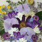 Spring party