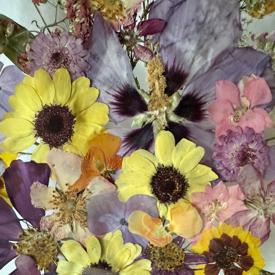 A head full of thoughts