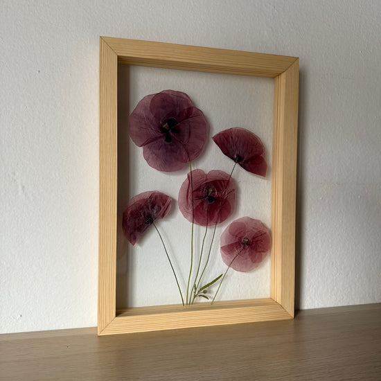 Red poppy enchantment