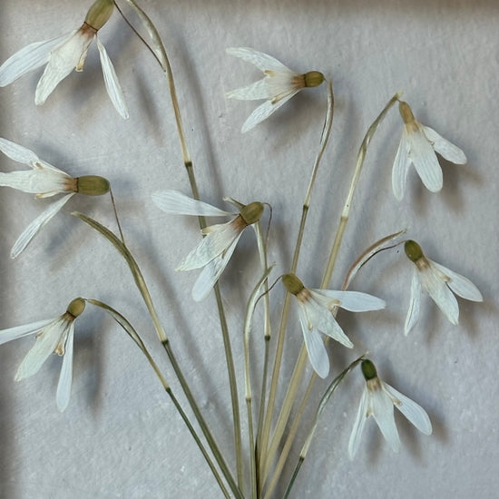 The scent of summer at grandma's