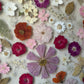In the whirlwind of spring joy