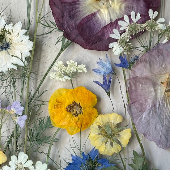 Magical flowers