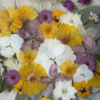 Bee Paradise