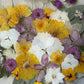 Spring party