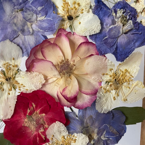 Like the swirling skirt of summer