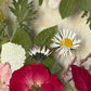 In the flower of tenderness