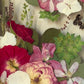In the flower of tenderness