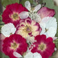 In the flower of tenderness