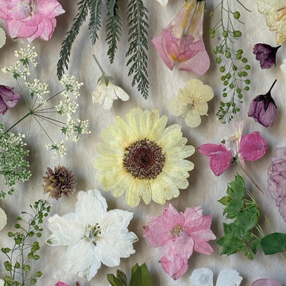 Pastel Morning