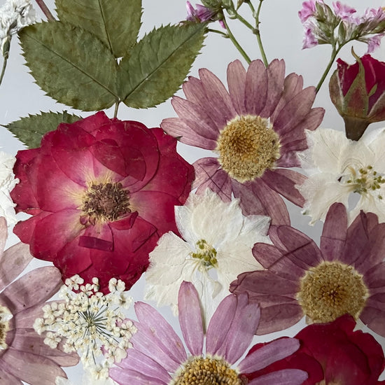 The Magic Rose and the Silent Forest