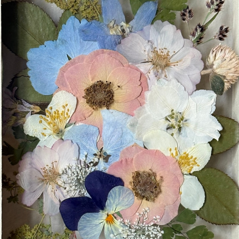 Blossom of spring tenderness