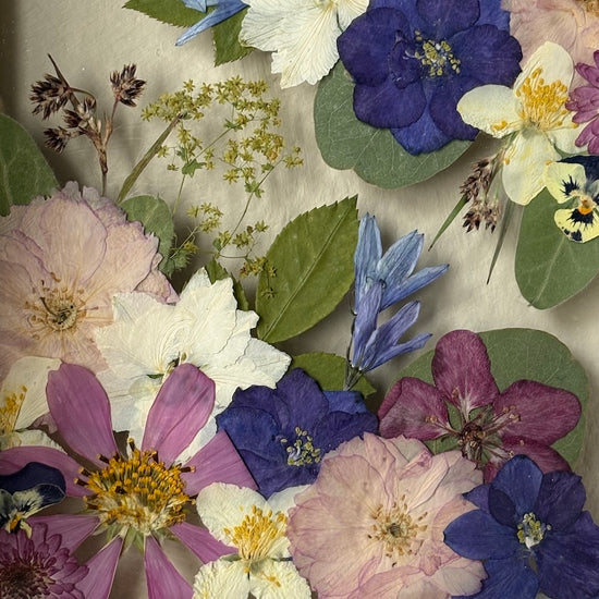 Tricolor symphony of flowers