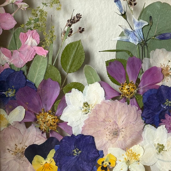 Tricolor symphony of flowers