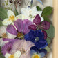 In the flower of tenderness