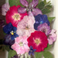 In the flower of tenderness