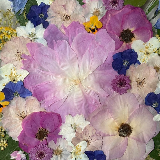 Summer in the village