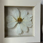 In the flower of tenderness