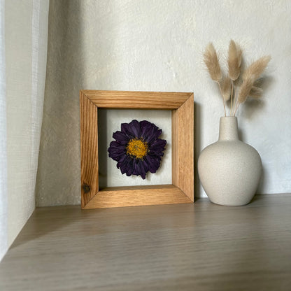 Dahlia