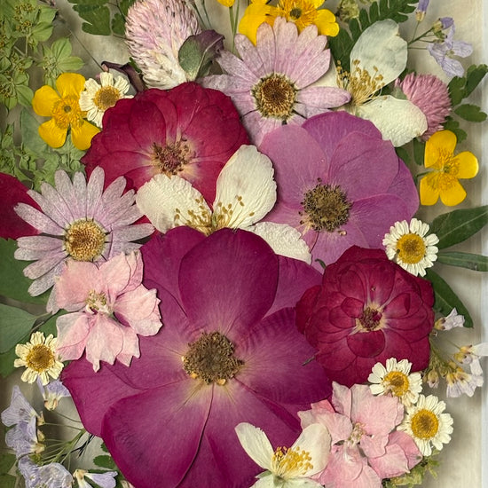 The warmth that blooms