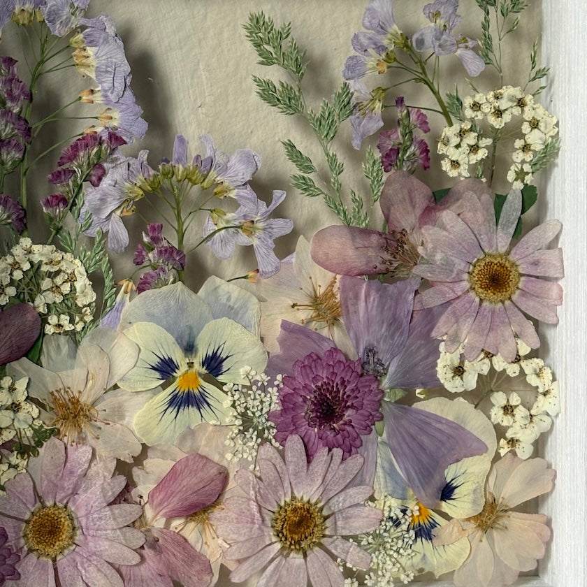 Fairy Flora