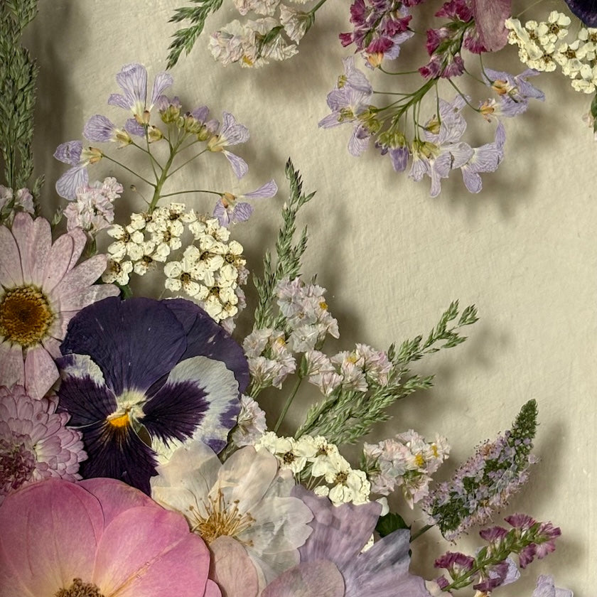 A Secret Among the Pansies