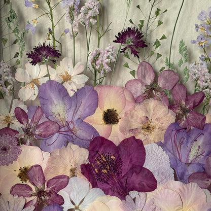 Where the fairies dance
