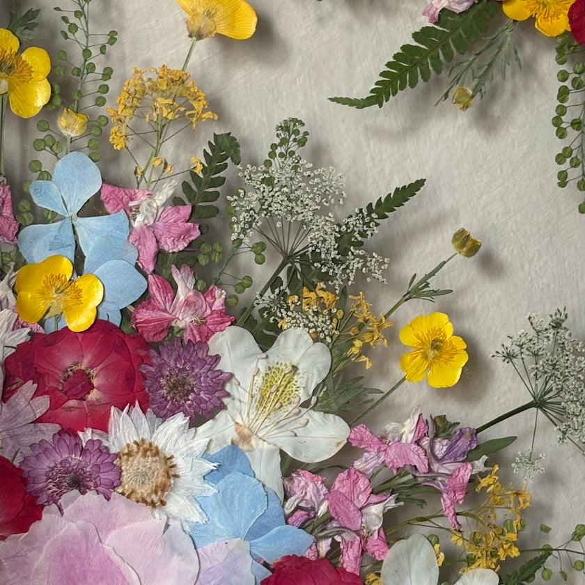 The Many Colours of a Flower&