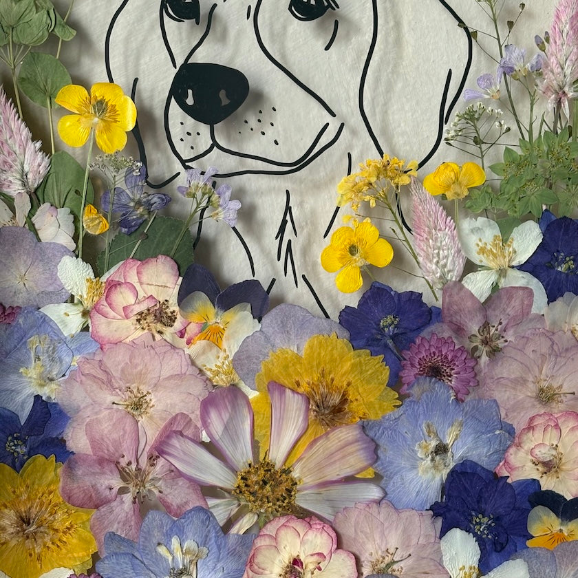 Meadow Puppy