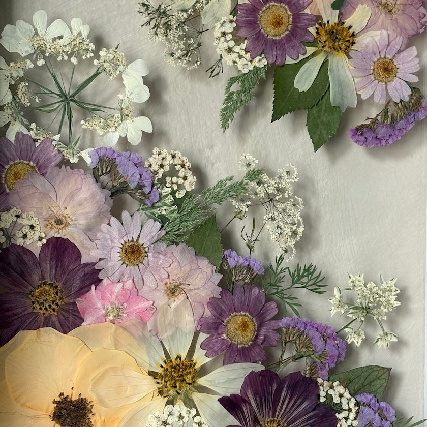 Poetry of flowers in three colours