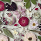 A Midsummer Night's Dream