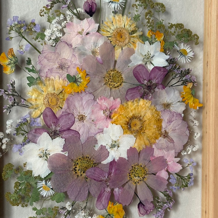 Poetry of flowers in three colours
