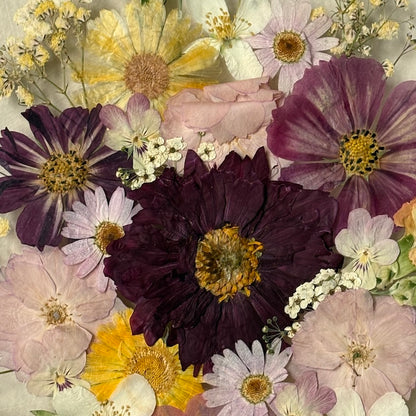 Poetry of flowers in three colours