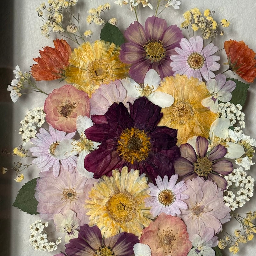 Poetry of flowers in three colours