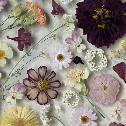 Poetry of flowers in three colours