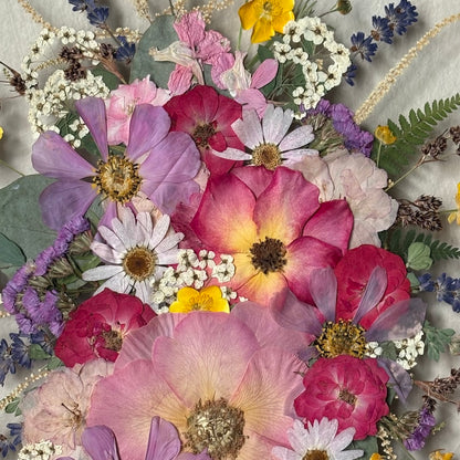 A Firework of All Colours