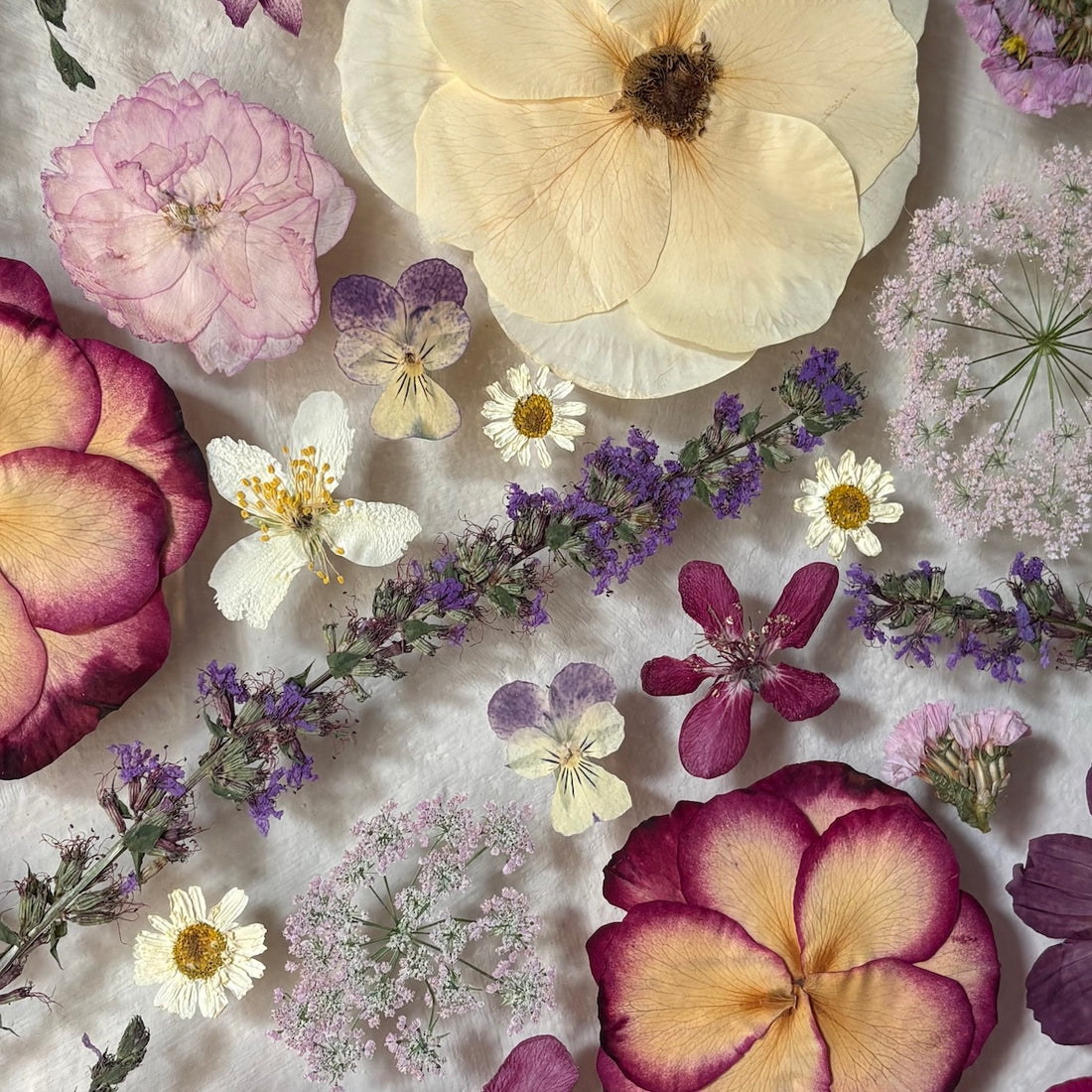 A Little Buzzing