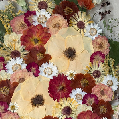 A Little Buzzing