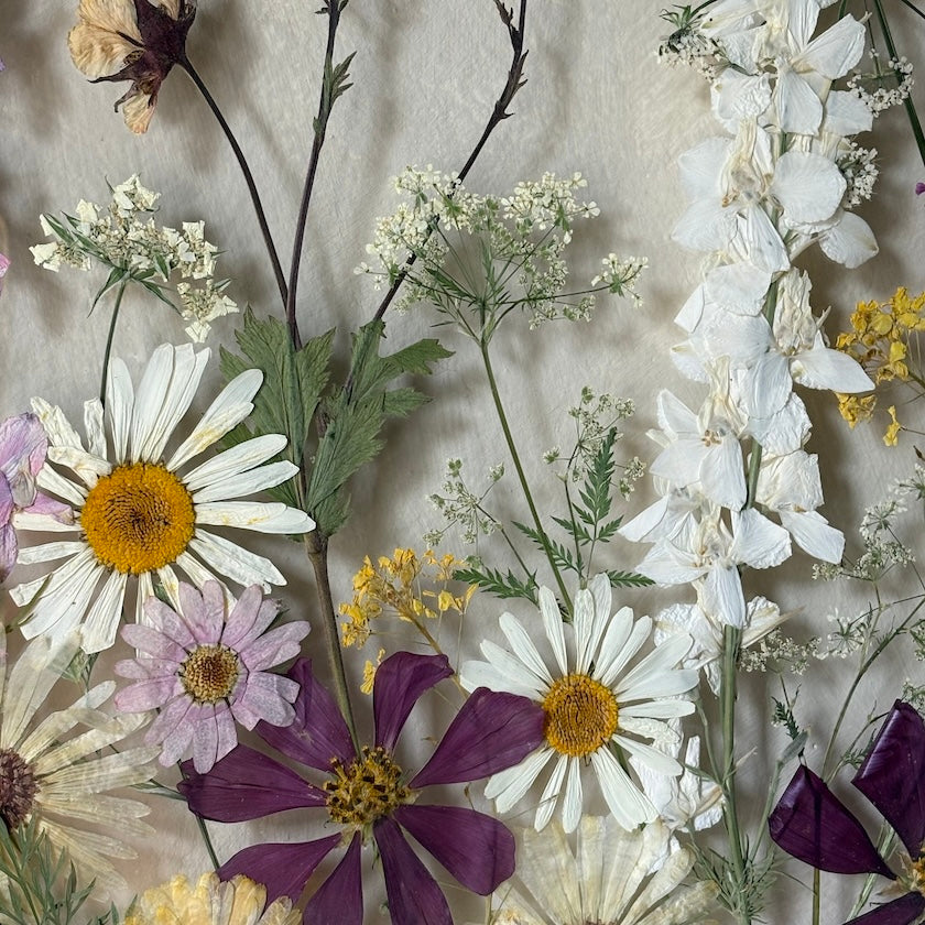 My Beautiful Vision
