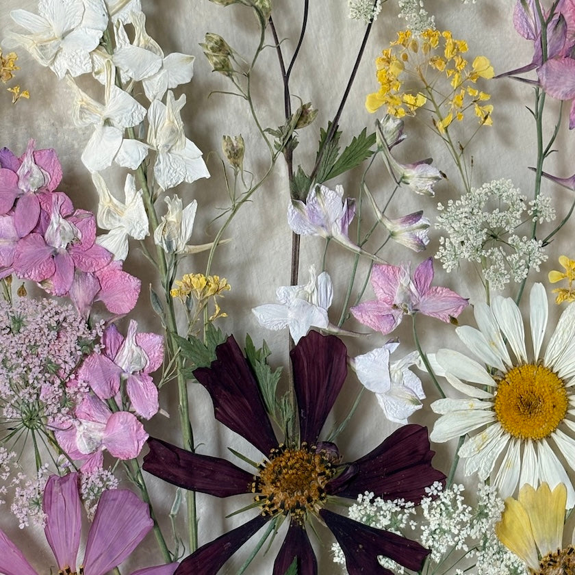 Poetry of flowers in three colours